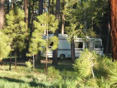 RV'ers find shade at Jacob's Lake Campground